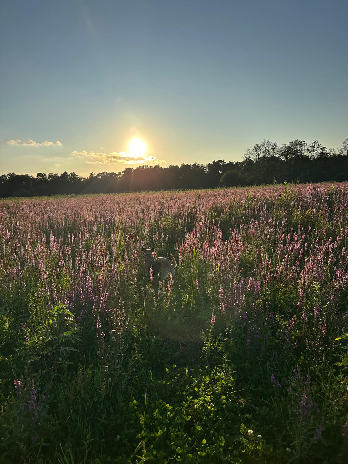 PHOTO-2025-08-28-12-42-52 9